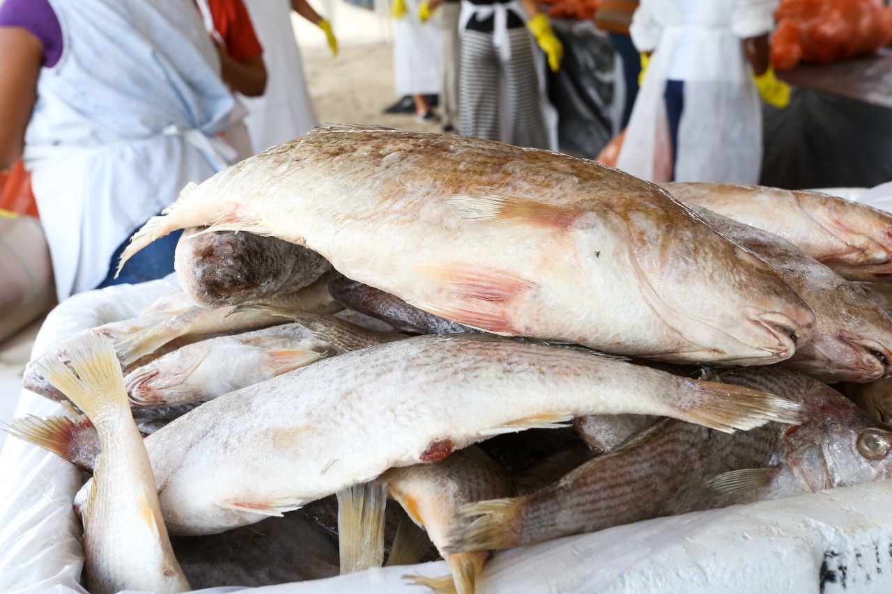 Prefeitura distribuiu senhas para entrega de peixes que será realizada pela Secretaria de Assistência Social (SMAS)