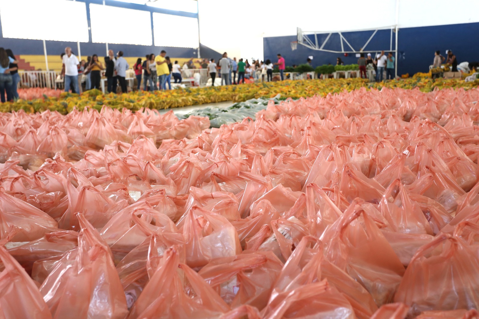 Prefeitura de Santo Antônio de Jesus realizou entrega das cestas do Programa Alimenta Brasil (PAB)